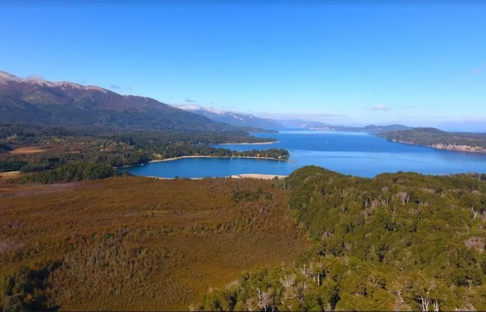 “Bosque de Lumas": conocé el proyecto urbanístico que privados pretenden concretar en “el mallín del americano”