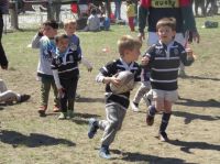Rugby: Coihues visitará con los infantiles la Comarca Andina