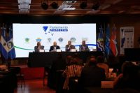 Sin la presencia de Neuquén, el Parlamento Patagónico pidió subir el subsidio a las tarifas eléctricas