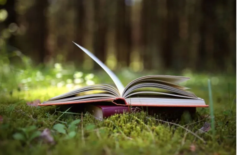 GRUPO ÁRBOL: “Lectura Nutritivas Julio 2024”