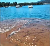 Las Balsas: se viralizó un nuevo video sobre una posible contaminación en el Lago Nahuel Huapi