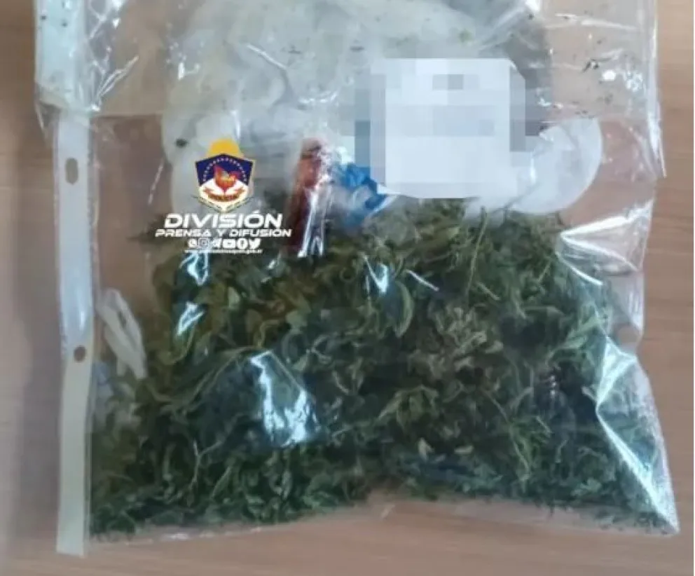 Crece el número de denuncias anónimas por narcomenudeo