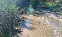 Según la Fiscalía de Delitos Ambientales, el derrame de líquidos cloacales en el arroyo Piedirtas, fue “un hecho fortuito”