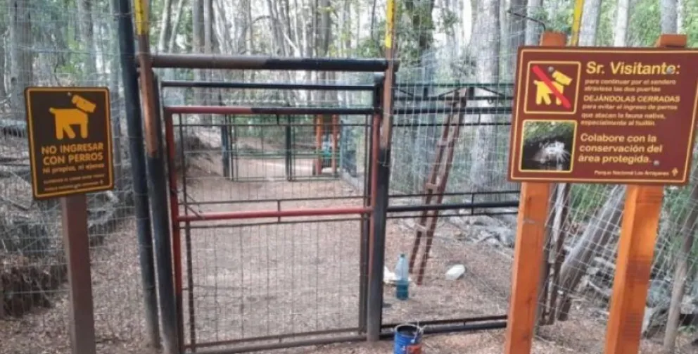 Un estudio reveló cómo los perros afectan a la fauna silvestre de la región